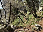 CANTO ALTO in direttissima la prima volta per sentieri insoliti da sopra casa-Zogno (8apr21) - FOTOGALLERY